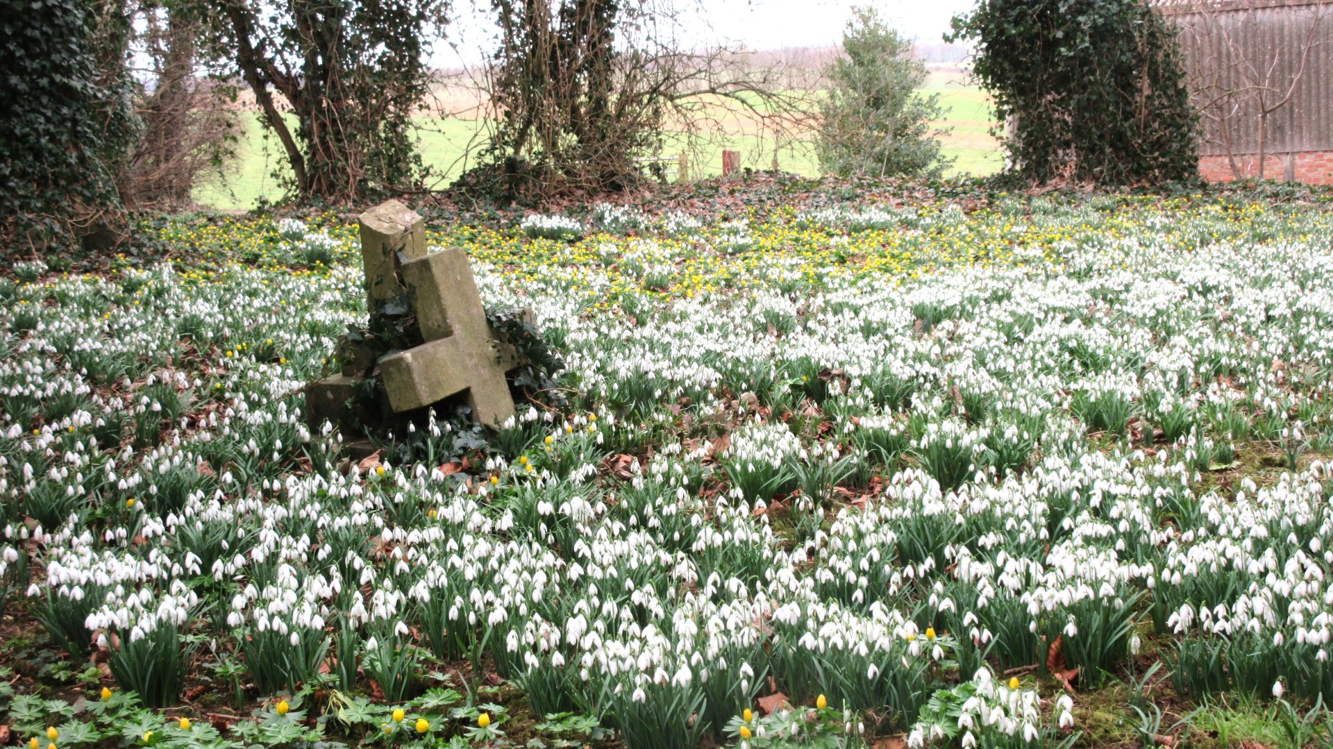 Kirmund le Mire church yard